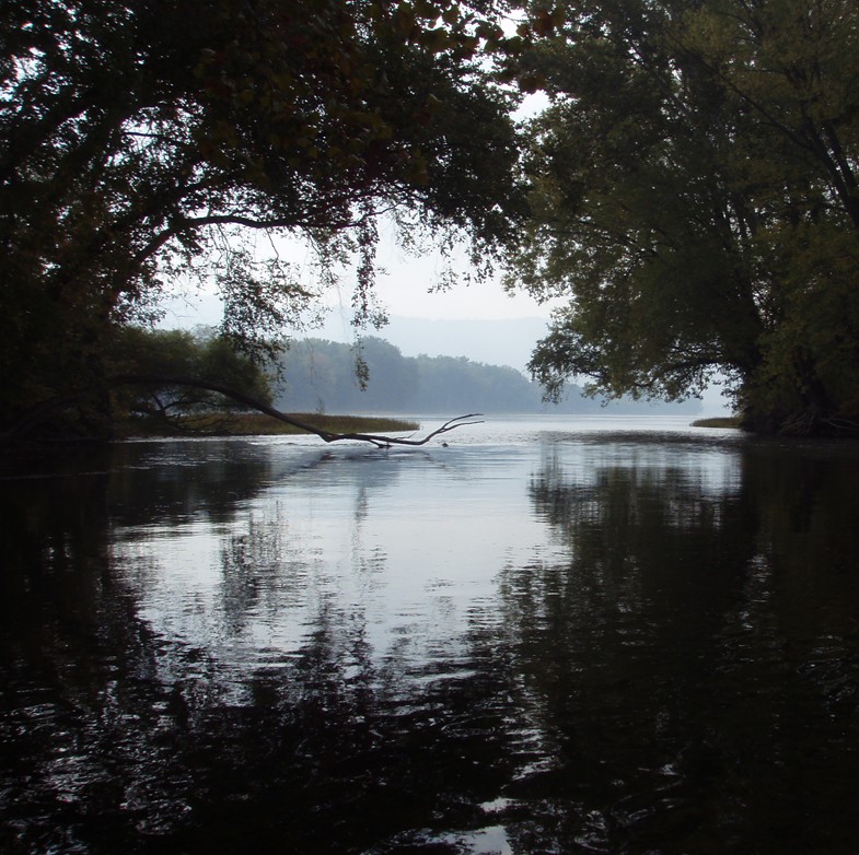  Kayak the Susquehanna River.