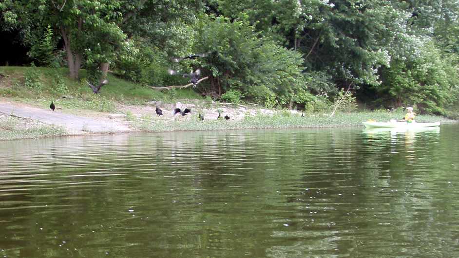  Juniata River.