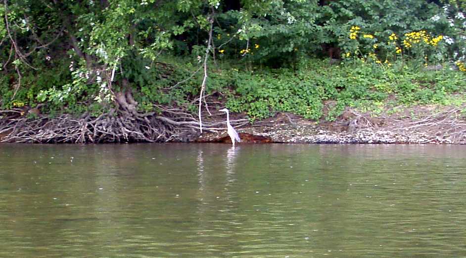  Susquehanna River.