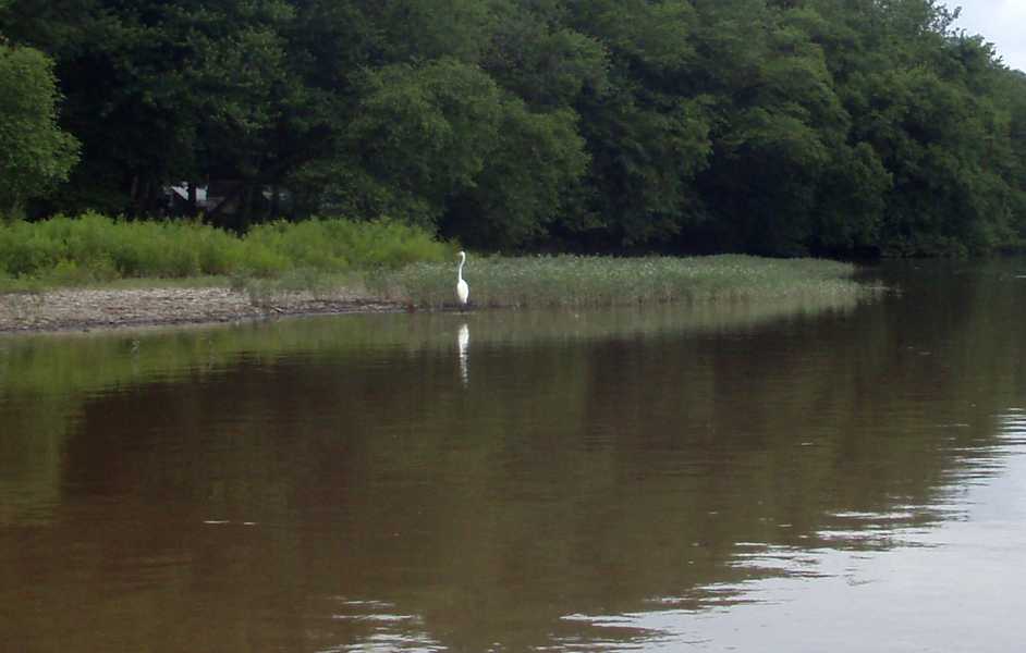  Susquehanna River.
