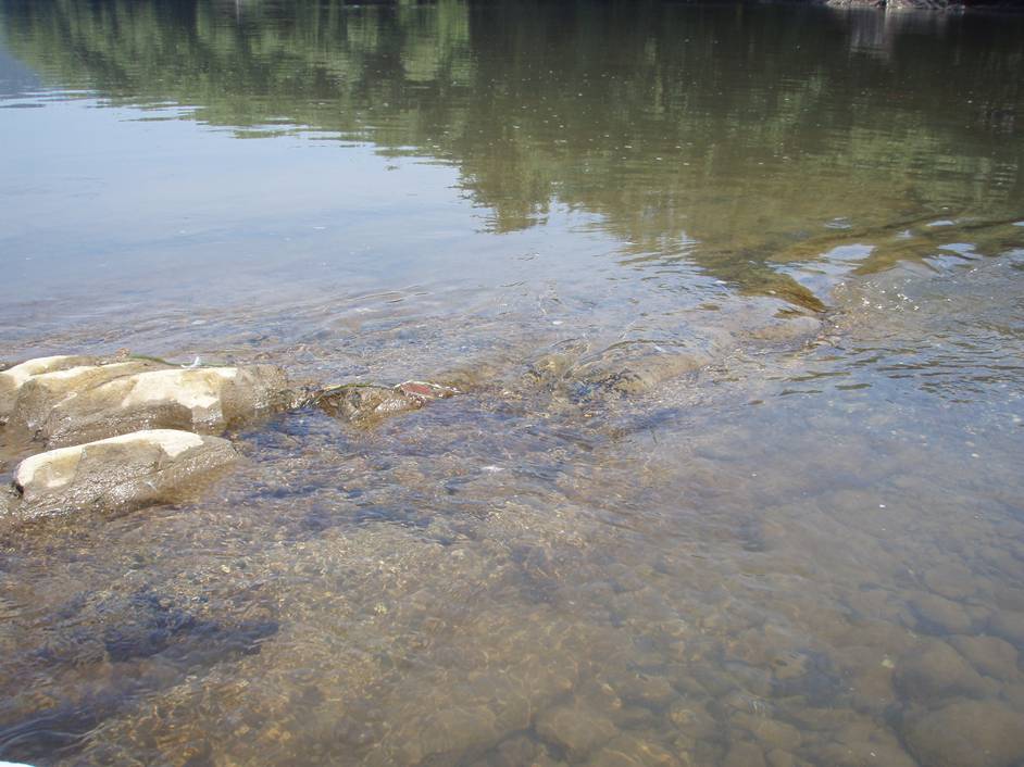  Susquehanna River.