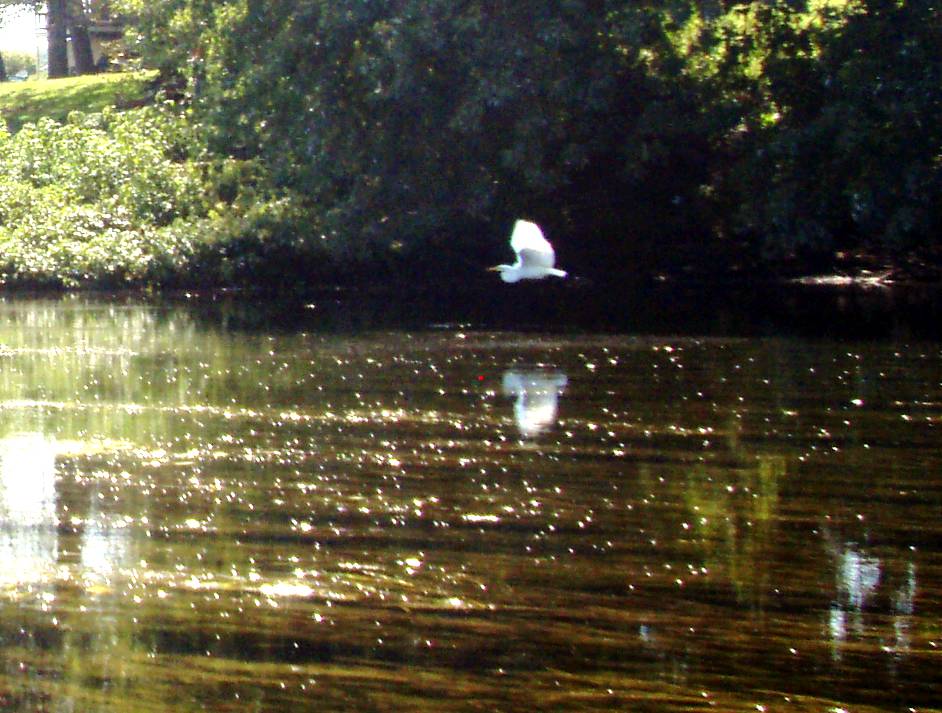  Juniata River.