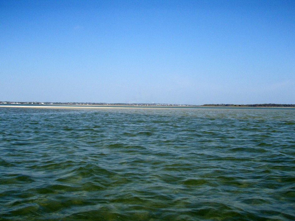  Bogue Inlet canoe and kayak trip.